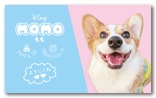 長方形ペット名刺の表面画像