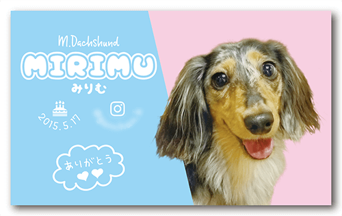 長方形ペット名刺の裏面画像