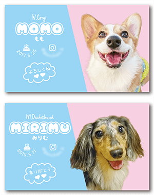 犬（多頭飼い）のペット名刺
