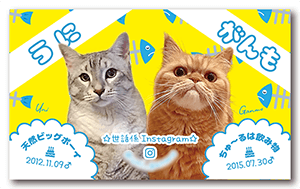 ロボホンのペット名刺