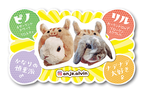 型抜きペット名刺の裏面画像