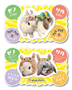 うさぎ（多頭飼い）のペット名刺