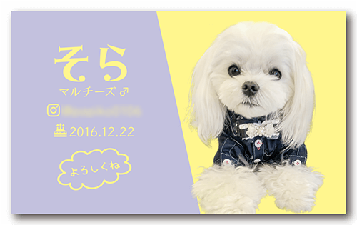 犬の長方形ペット名刺画像