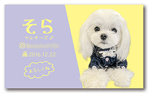 犬のペット名刺