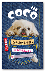 犬のペット名刺