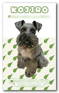 犬のペット名刺