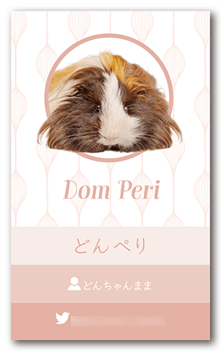 長方形ペット名刺画像