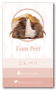 モルモットのペット名刺
