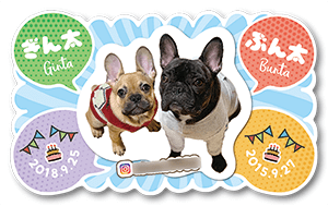 犬(多頭飼い)のペット名刺