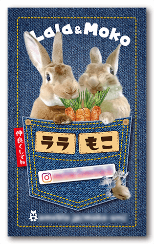 ペット名刺の表面画像