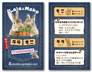 うさぎ（多頭飼い）のペット名刺
