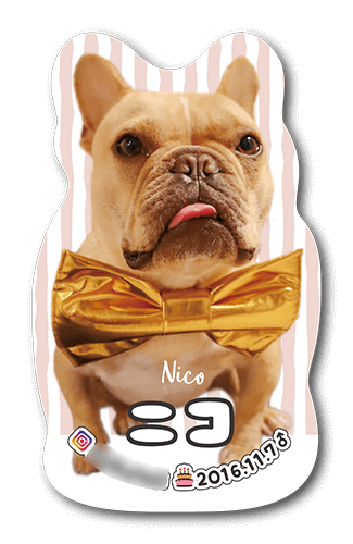 型抜きペット名刺画像