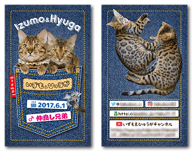 猫（多頭飼い）のペット名刺