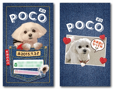 犬のペット名刺