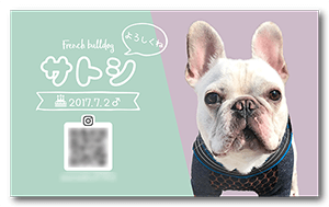 犬のペット名刺
