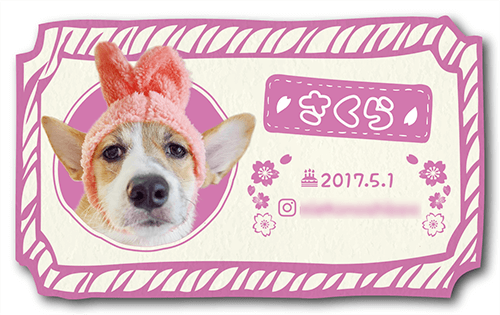 犬の長方形ペット名刺画像