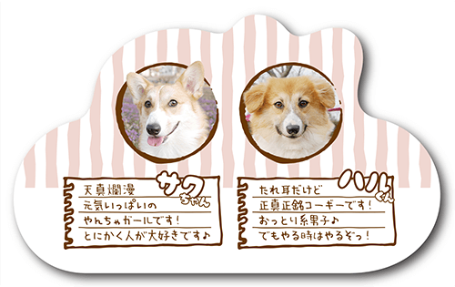 型抜きペット名刺の裏面画像