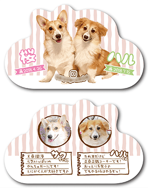 犬（多頭飼い）のペット名刺