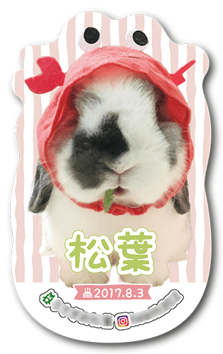 型抜きペット名刺画像