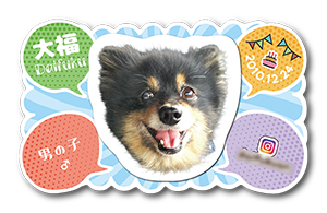 犬のペット名刺