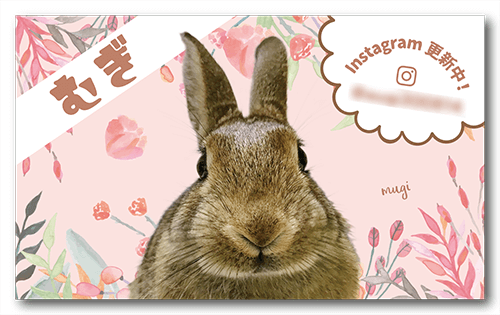 長方形ペット名刺の表面画像