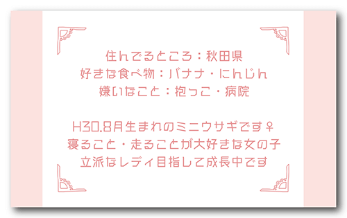 長方形ペット名刺の裏面画像