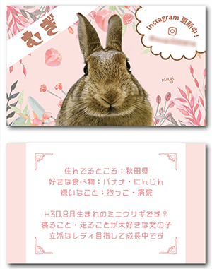 うさぎのペット名刺