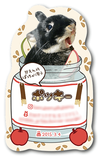 型抜きペット名刺の画像1