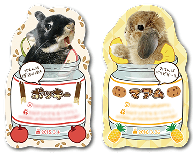 うさぎ（多頭飼い）のペット名刺