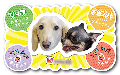 型抜きペット名刺の表面画像