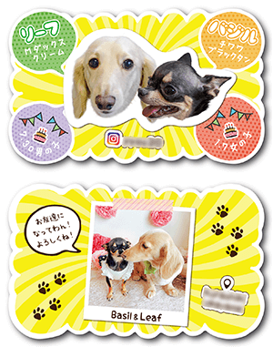 犬（多頭飼い）のペット名刺