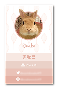 うさぎのペット名刺