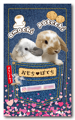 ペット名刺の表面画像