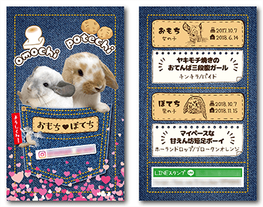うさぎ（多頭飼い）のペット名刺