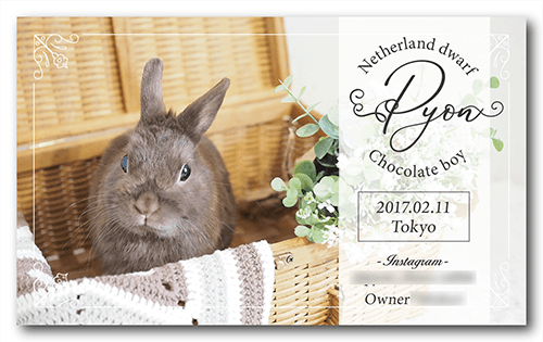 うさぎの長方形ペット名刺画像