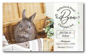 うさぎのペット名刺