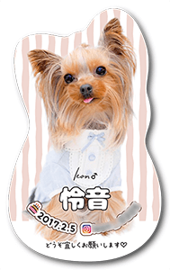 犬のペット名刺