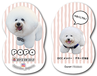 犬のペット名刺