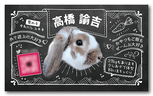 うさぎの長方形ペット名刺画像