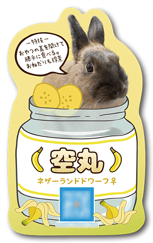 型抜きペット名刺画像