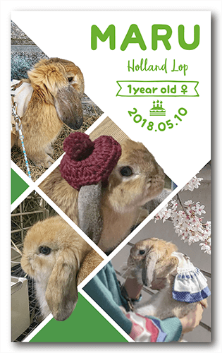 ペット名刺の表面画像