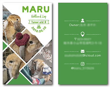 うさぎのペット名刺