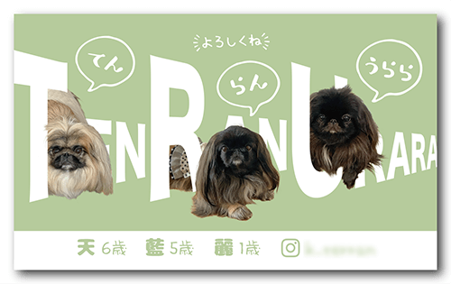 犬（3頭多頭飼い）の長方形ペット名刺画像