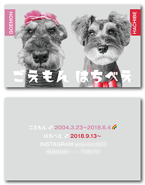 犬（多頭飼い）のペット名刺