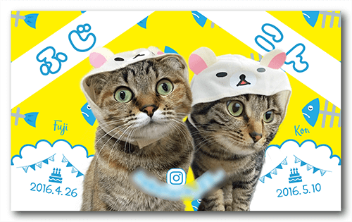 長方形ペット名刺の表面画像