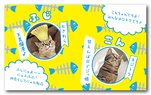 長方形ペット名刺の裏面画像