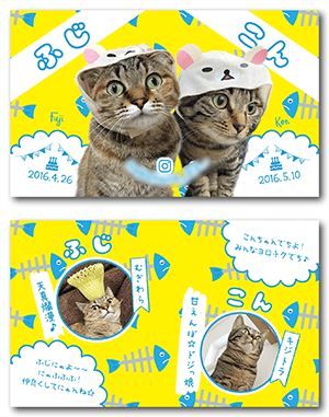 猫（多頭飼い）のペット名刺