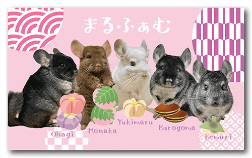 長方形ペット名刺の表面画像