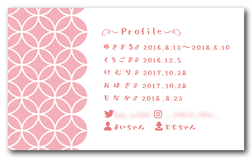 長方形ペット名刺の裏面画像