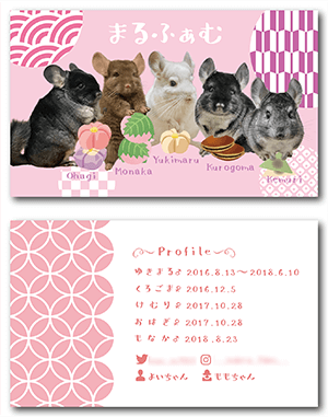 チンチラ（5匹多頭飼い）のペット名刺